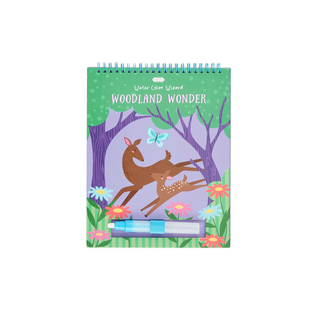 Water Wizard Color Changing Book (Assorted Styles)