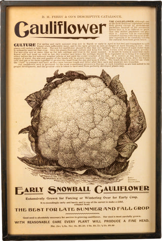 Vintage wall art