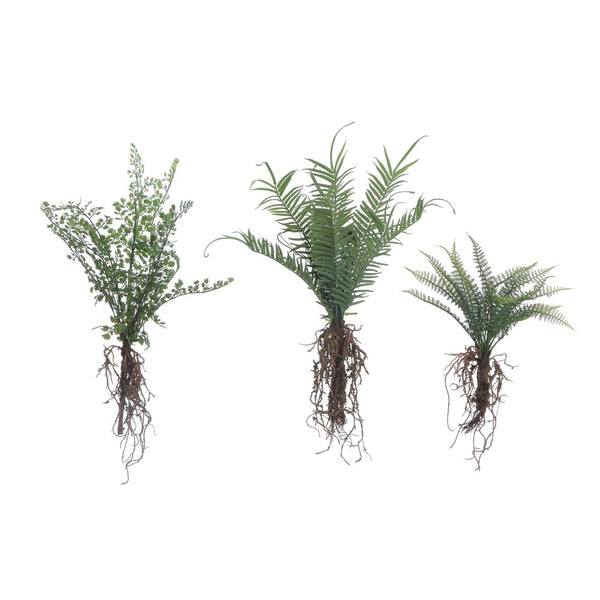 Faux Ferns w/ Exposed Roots, 3 Styles