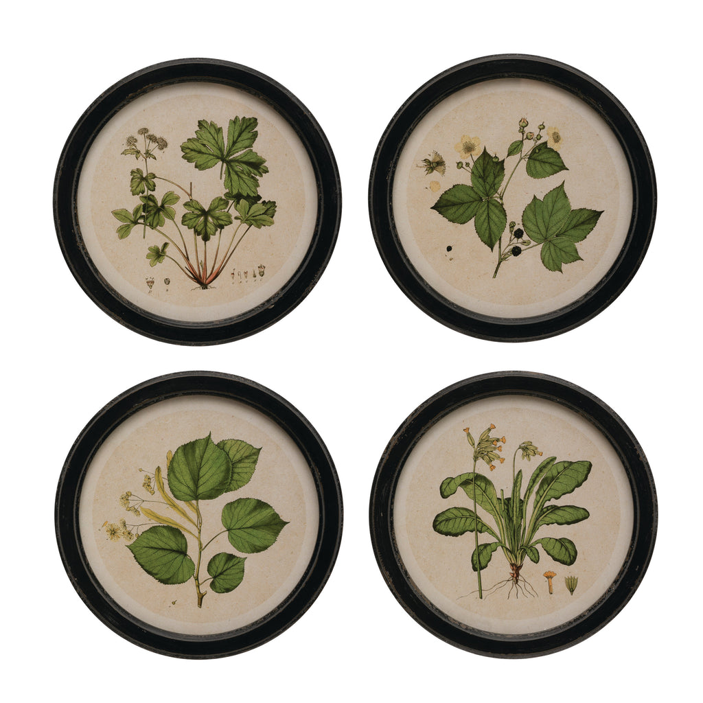 Framed Wall Decor with Botanical Print, 4 Styles